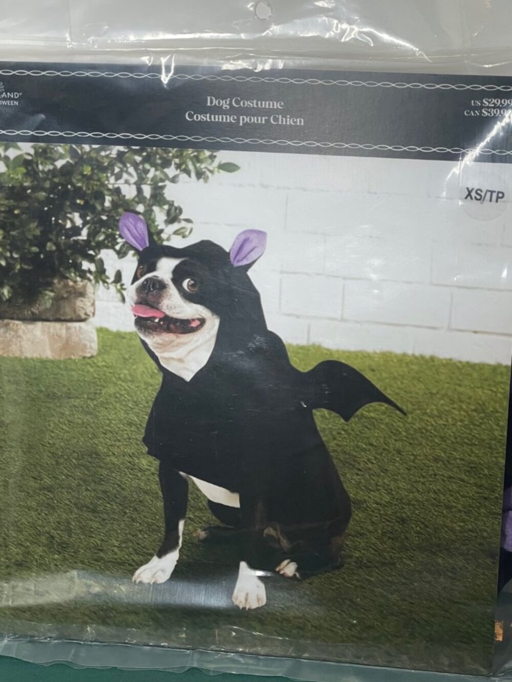 Ashland Halloween Dog Bat Costume XS Black Purple Wings Pet Costume NWT